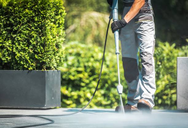 Best Sidewalk and Walkway Cleaning  in Farmingdale, NY